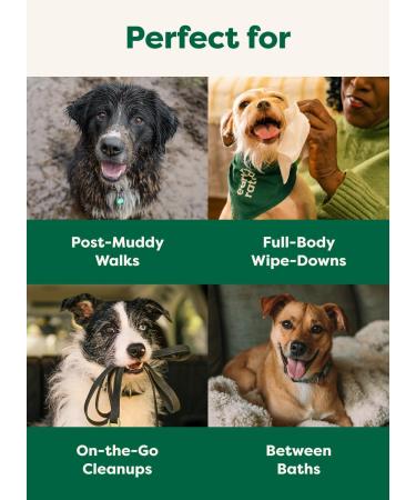 Earth Rated Unscented Dog Wipes - 100 Biodegradable Wipes for Clean Paws & Coats - Buy Online on GoSupps.com