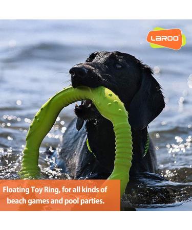 Laroo Indestructible Dog Frisbee - Floatable Flight Disc Toy for All Dog Sizes | Perfect for Summer Training | 22cm Green - Buy Online on GoSupps.com