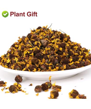 Plant Gift Natural Kunlun Snow Daisy Tea 40g141oz High Mountain Xueju Snow Chrysanthemum Flowers Herbal Tea - Buy Online on GoSupps.com