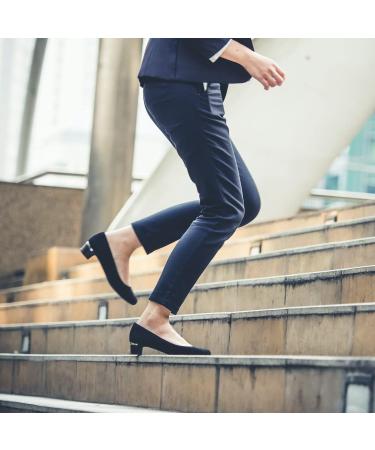 Buy 5kg Dried Rose Hips | Natural Additive-Free | Perfect for Jam Tea & Pet Treats | Achterhof Quality - Buy Online on GoSupps.com