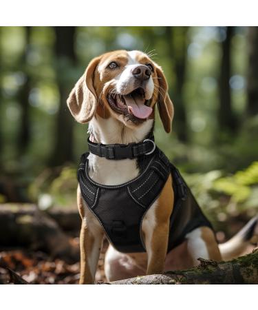 Buy Joytale Reflective Dog Collar for Large XL Dogs - Durable & Stylish - International Shipping Available - Buy Online on GoSupps.com
