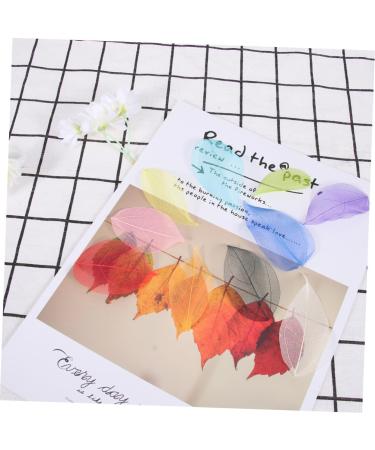 TEHAUX 200 Pcs Leaf Skeleton Art Natural Rubber Leaves Skeleton Natural Leaves Wedding Decor Leaves Charm Pendants Artificial Leaves Craft Skeleton Leaf Bamboo Phone Case Craft Leaf As Shownx2pcs Mx2pcs - Buy Online on GoSupps.com