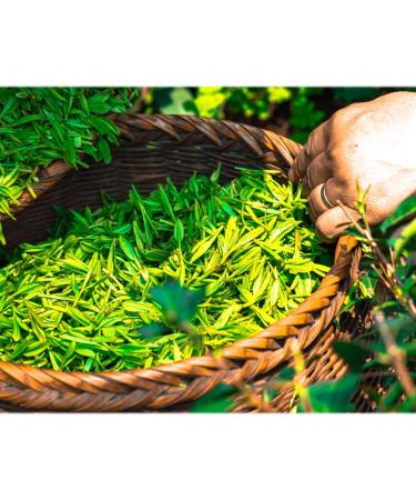 ECO Amenities Hotel Vanity Set - 100 Travel Packs of Cotton Pads, Swabs, and Nail File in Individually Wrapped Paper Boxes - Buy Online on GoSupps.com