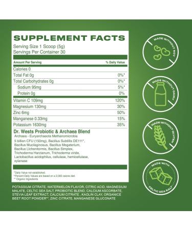 Prolytes Electrolyte Powder with Probiotics - Keto Sugar-Free Hydration for Gut Health - Watermelon Flavor - Peak Performance for Men & Women - Buy Online on GoSupps.com