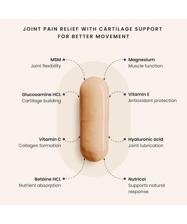 PURICA - Recovery Extra strength Whole Body Health and Pain Relief Capsules - 180 count 180 count (Pack of 1) - Buy Online on GoSupps.com