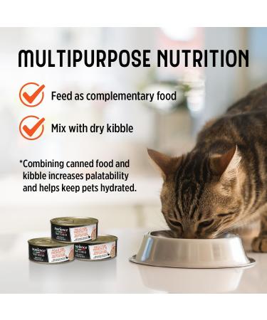 Nutrience Trattoria Chicken with Ham Shreds Cat Food - 70 g - Buy Online on GoSupps.com