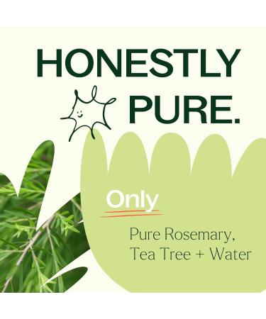 Buy Plant Therapy Tea Tree & Rosemary Facial Mist 4 oz | Hydrates & Soothes Skin - Minimize Redness & Irritation | International Shipping Available - Buy Online on GoSupps.com