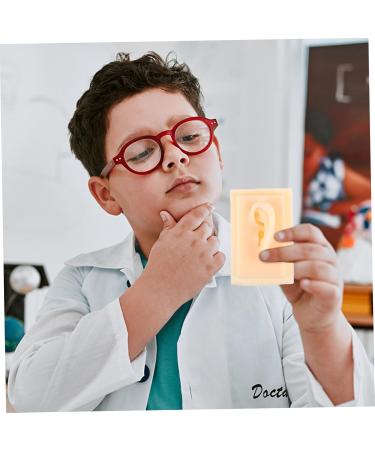 FOMIYES Silicone Ear Model for Teaching & Display | 1 Pair Hearing Aid Presentation Prop 9.5X6.5X4.5CM - International Shipping Available - Buy Online on GoSupps.com