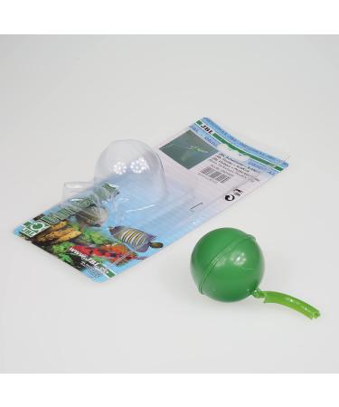 JBL Swimmer with Kink Protection - Premium Waterproof Headphones for Ultimate Sound | Shop Internationally - Buy Online on GoSupps.com