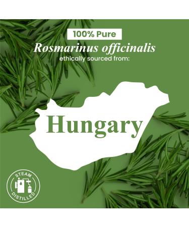 Handcraft Blends Bright Herbal Set: Rosemary and Orange Essential Oils (2 x 4 Fl Oz) 100% Pure & Natural for Diffuser Aromatherapy and DIY Projects - Buy Online on GoSupps.com