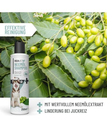 Reavet Dog Shampoo 250ml - Neem Oil Formula for Itching Fleas Ticks & Mites - Suitable for All Breeds & Puppies - Pleasant Fragrance & Skin-Friendly - Buy Online on GoSupps.com
