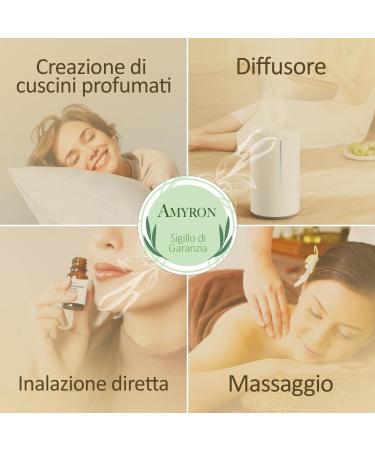 Huile Essentielle De Vanille Bourbon 15ml AMYRON Naturelle Et Pure 100% Id ale Pour l'Aromath rapie Et Le Diffuseur d'Huiles Essentielles/Massages Aromatiques/Usage Alimentaire. - Buy Online on GoSupps.com