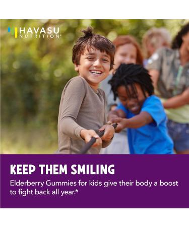 Family Elderberry Gummies with Zinc and Vitamin C Herbal Supplements Ingredient for Potent Antioxidant Support Immune Defense (Adult and Kids) - Buy Online on GoSupps.com