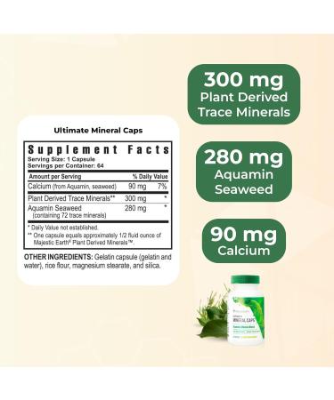 Youngevity Ultimate Mineral Caps - 70+ Essential Full Spectrum Trace Minerals - Nutrient-Dense Derived from Humic & Aquamin Seaweed (64 Capsule) (Pack of 4) 64 Count (Pack of 4) - Buy Online on GoSupps.com