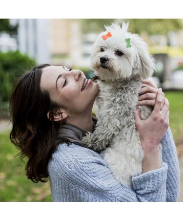 Cobee Cat Dog Hair Clips 30 Pieces 1 Inch Dog Puppy Grooming Bows Multicolor Bone Shape Pet Hair Accessories Clip Mini Snap Hair Clips Cute Pet Hairpin Headwear for Small Dog Cat - Buy Online on GoSupps.com