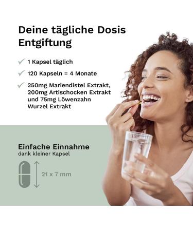 Mary Thistle Capsules - Artichoke & Dandelion Complex 80% Silymarin | 120 Vegan Capsules | Additive-Free | Laboratory Tested | Made in Germany | Balanced Vitality - Buy Online on GoSupps.com