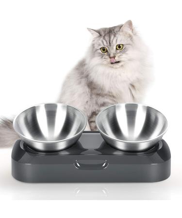 Jemirry Elevated Cat Bowl Anti Vomiting,15 Tilted Raised Cat Food or Water Bowls,Stainless Steel Pet Bowl with Non-Slip Stand for Cat and Dog,Protect Pet's Spine,Dishwasher Safe Two Bowls