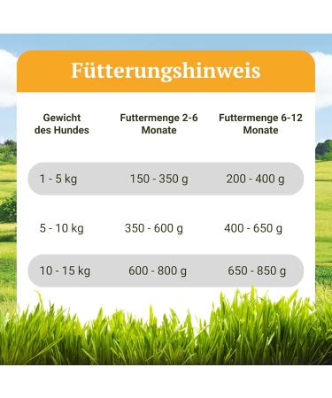 Bellfor Landgut-Menu Junior Hypoallergenic Wet Food with Insects for Puppies 6 x 400 g Ideal for Feeding Growing Dogs - Buy Online on GoSupps.com