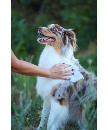 Earthbath All Natural Grooming Wipes Pack of 1 - Hypoallergenic & Fragrance-Free - Buy Online on GoSupps.com