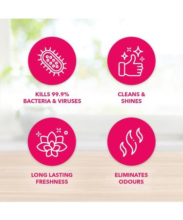 Fabulosa Multi Purpose Multi Surface Odour Removing Disinfectant White Vinegar Cleaning Spray 500ml 9 Pack Rose 1 count (Pack of 9) - Buy Online on GoSupps.com