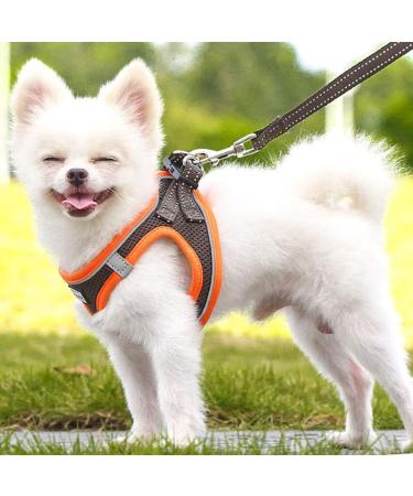 Suredoo Reflective Dog Harness with Leash for Small Dogs & Cats - Anti-Train Brown Orange XXS - Buy Online on GoSupps.com