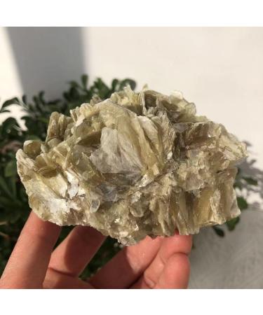 Natural Phlogopite Flake Raw Specimen Stone Natural Decoration Ornaments Collectible Gifts Can be Used for (Size : 320-400g) JZIGTDEM (Size : 320-400g) - Buy Online on GoSupps.com
