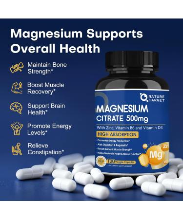 NATURE TARGET Magnesium Citrate 500mg with Zinc & Vitamin D for Muscle, Nerve, Bone & Heart Health, High Absorption Magnesium Supplement, Easy to Swallow Magnesium Capsule for Women & Men, 120 VegCaps 120 Count (Pack of 1) - Buy Online on GoSupps.com