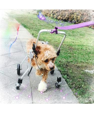 Dog Wheelchair for Back Legs Adjustable Hip Support Harness for Canine Aid Arthritis for Small Medium Large Dogs Rehab Poor Stability Dogs Walking Cart Wheel Chair S (S) () - Buy Online on GoSupps.com