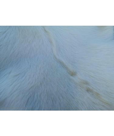 Provellus Goatskins Goat Fur No Odour Top Tanning Natural Bargain (Dark Pack of 5 30-50 cm) - Buy Online on GoSupps.com
