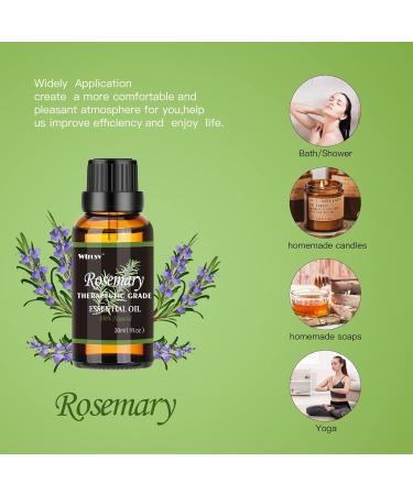 Rosemary Essential Oil - 100% Natural Aromatherapy Oil for Diffuser Humidifier Massage & Skin Care - 1.01 fl oz - Buy Online on GoSupps.com