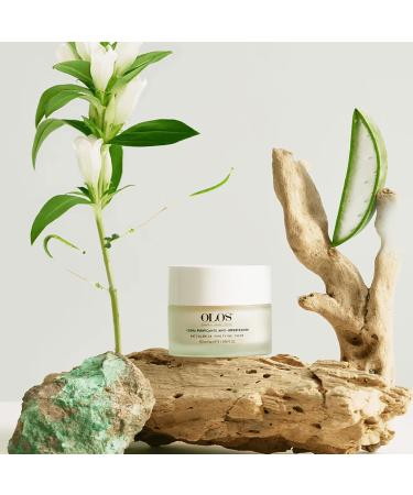 OLOS Anti-Blemish Purifying Cream - Anti-Aging Face Cream & Blackhead Remover | Acne Treatment with Vitamin E & Aloe - Non-comedogenic - 1.7 Oz | International Shipping Available - Buy Online on GoSupps.com