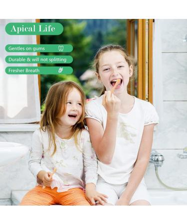 Apical Life Bamboo Toothbrush 20 Count - Biodegradable, Eco-Friendly, Organic Bamboo Charcoal, BPA Free, Medium Soft Bristles for Adults and Kids - Buy Online on GoSupps.com