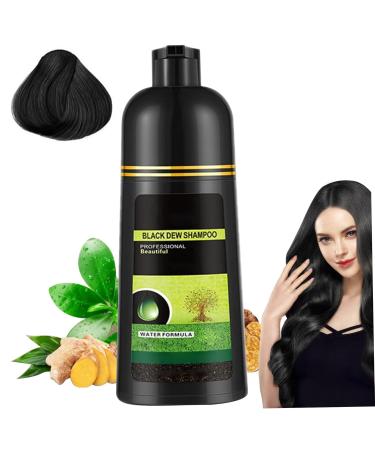 Buy Natural Black Hair Dye Shampoo 500ml - Non-Irritating Plant-Based Foam for Women | Best Hair Care Solution - Buy Online on GoSupps.com