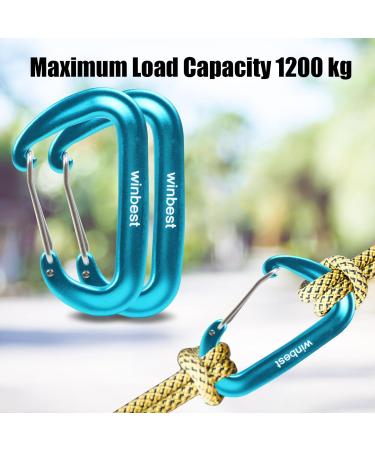 2 Pack Heavy-Duty Blue 12KN Snap Hooks | Large Aluminum Carabiners for Outdoor Camping & Hammocks - Buy Online on GoSupps.com