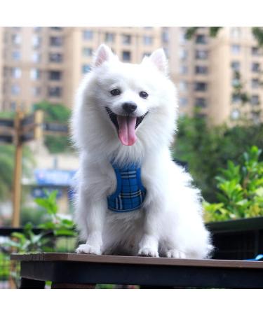 Suredoo Dog Harness for Small Dogs with Leash - Reflective Breathable Anti-Training - Blue Checked (M) | Perfect for Small & Medium Breeds - Buy Online on GoSupps.com