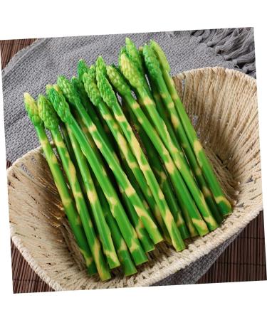 HOMSFOU 20 Pcs Simulated Asparagus Ornaments Pretend Play Food Fake Bamboos Food Faux Veggies Fake Food Model Asparagus Models Simulated Food Artificial Asparagus Model Pvc Vegetable Plant Light Greenx2pcs 19X0.9CMx2pcs - Buy Online on GoSupps.com
