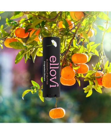 Natural Lip Butter Lip Balm - Blossom | 6 Vegan Ingredients | Moisturizing All Day Hydration | Pure & Edible | International Shipping Available - Buy Online on GoSupps.com