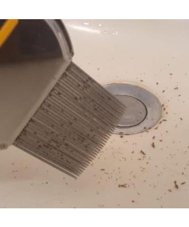 Bussani Stainless Steel Lice Comb | Effective for Nit Eggs & Dandruff | Rust-Resistant | Gentle on Hair | Ideal for All Hair Types | Includes Cleaning Brush - Buy Online on GoSupps.com