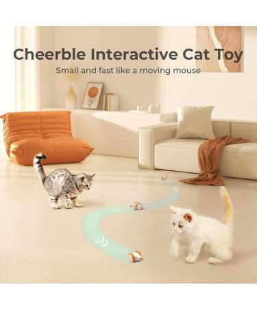 Cheerble Interactive Cat Toys for Indoor Cats Automatic Cat Toy with LED Lights  Wicked Mouse Toy USB Rechargeable Auto On & Off - Yellow - Buy Online on GoSupps.com