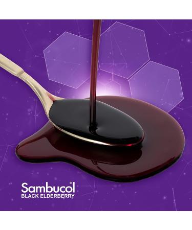 Sambucol Black Elderberry Syrup Original Formula | Immune Support Supplement for Adults & Kids | Gluten Free & Vegan | Family Size 16.9 Fl Oz - Buy Online on GoSupps.com