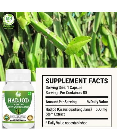 Morsan Healthcare Hadjod (Cissus Quadrangularis) Capsules | 500mg | Pack of 60 x 4 | Ayurvedic Herbal Supplement | Vegan Gluten-Free GMP Certified | Plant-Based Wellness Support - Buy Online on GoSupps.com