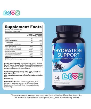 LIVS Electrolyte Gummies for Hydration Support & Post Workout Recovery | Electrolyte Supplement with Calcium, Magnesium, Sodium, Potassium, Zinc | Vegan, Gluten Free | Elderberry Flavor 88 Count Hydration Support Pack of 2 - Buy Online on GoSupps.com