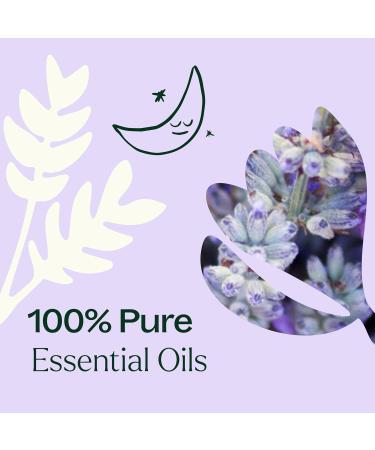 Plant Therapy Sparkling Lavender Laundry Essential Oil Blend 30 mL (1 oz) Pure Undiluted Wash Fragrance and Scent Enhancer - Buy Online on GoSupps.com