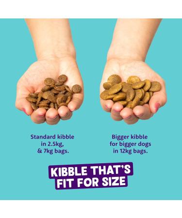 Edgard Cooper Dry Dogs Puppies Crispy Dog Fresh Meat and Natural Ingredients Grain Free No Sugar Added - Buy Online on GoSupps.com