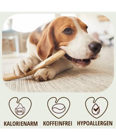 Petlove XL Coffee Wood for Dogs - Chewing Toy & Dental Care | Caffeine-Free Wooden Bones for Large Dogs - Buy Online on GoSupps.com