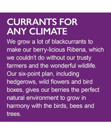  Ribena Ribena Pack of 6 boxes of 6 x 330ml cans of real fruit rich in vitamin C with no artificial colors or flavors. - Buy Online on GoSupps.com