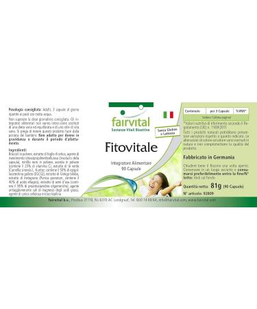 Fairvital | PhytoVital VEGAN - Highly dosed - 90 capsules - quality plant extract - natural multivitamin - Buy Online on GoSupps.com