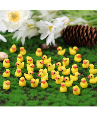 100pcs Mini Resin Ducks Decorations Tiny Ducks Miniature Figures for Craft Aquarium Garden Landscape Dollhouse Ornament Potted Decorations DIY (Yellow) - Buy Online on GoSupps.com