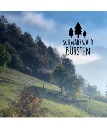 Premium GWS Dog Comb & Broom Comb Set - Beech Wood Durable Fur Brush Made in Germany - 2 Pieces - Buy Online on GoSupps.com