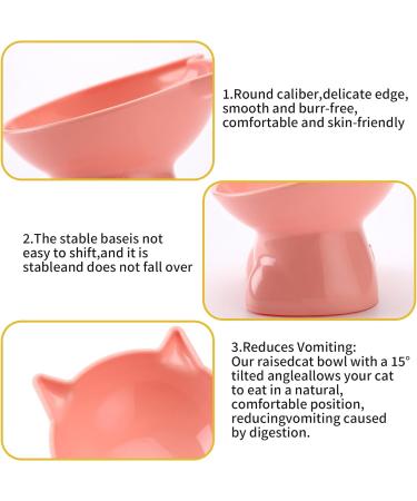 3 PCS Raised Cat Bowl Elevated Cat Feeding Bowls with Stand Tilted Pet Dog Cat Bowl Anti-Tipping Anti Vomit Cat Food Bowl Feeding Water Bowl Cat Dishes 15 Tilted Raised Cat Feeder - Buy Online on GoSupps.com